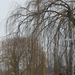 IMG_0033_bewerkt-1