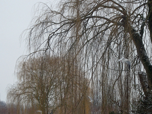 IMG_0033_bewerkt-1