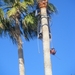 20091220_41