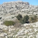 20091220_119