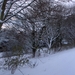 kerstvakantie2009 146
