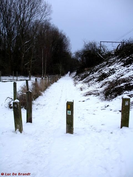 wandeling Denderleeuw