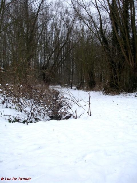 wandeling Denderleeuw