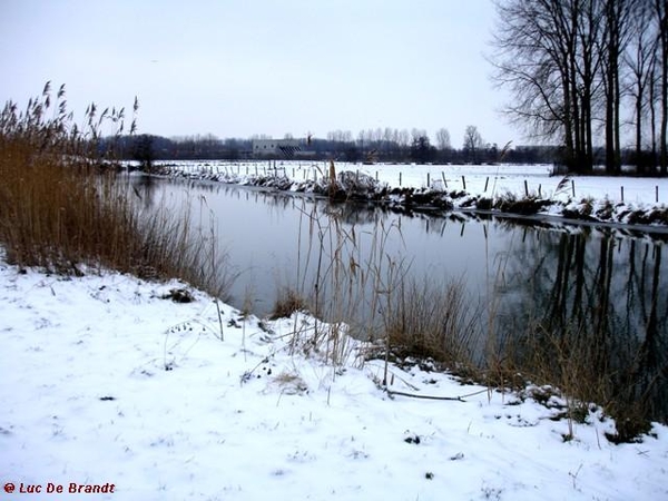 wandeling Denderleeuw