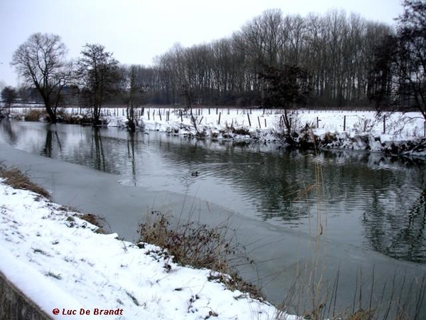 wandeling Denderleeuw