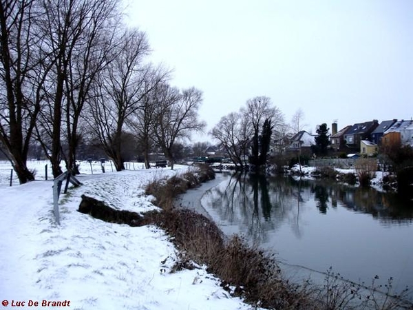 wandeling Denderleeuw