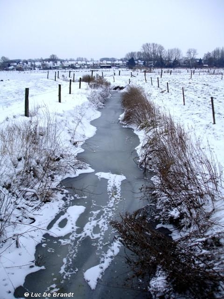 wandeling Denderleeuw