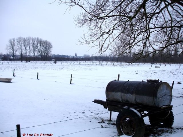 wandeling Denderleeuw