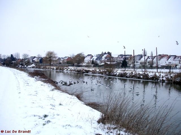 wandeling Denderleeuw