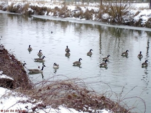 2010_01_10 Denderleeuw 27