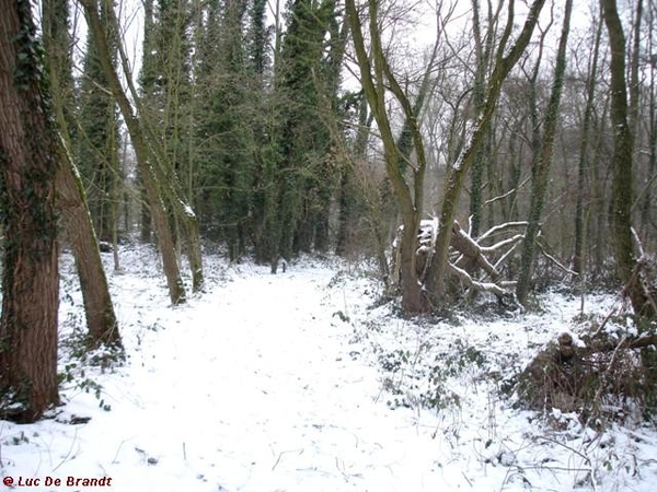 wandeling Denderleeuw