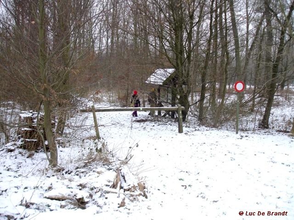 wandeling Denderleeuw