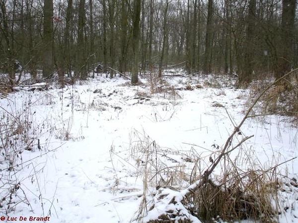 wandeling Denderleeuw