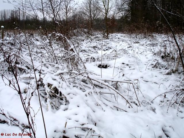 wandeling Denderleeuw