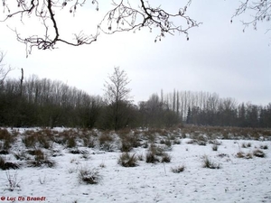 2010_01_10 Denderleeuw 53 Wellemeersen