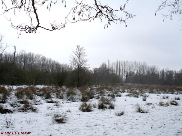 wandeling Denderleeuw