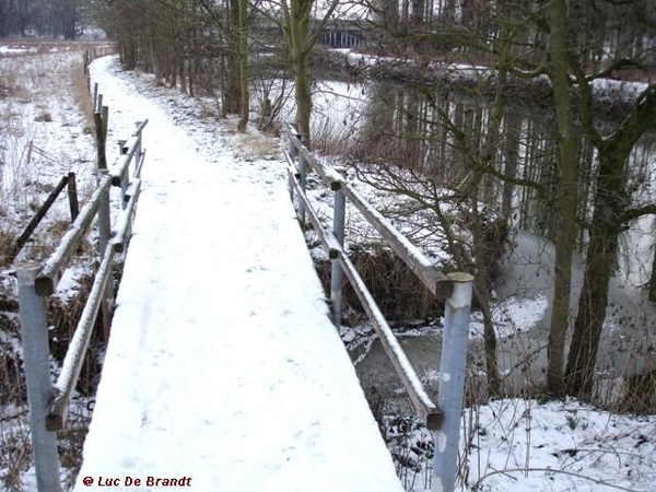 wandeling Denderleeuw