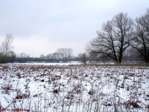 wandeling Denderleeuw