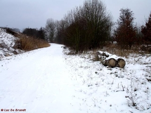 2010_01_10 Denderleeuw 59 Wellemeersen