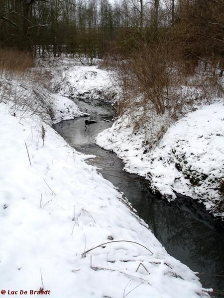 wandeling Denderleeuw