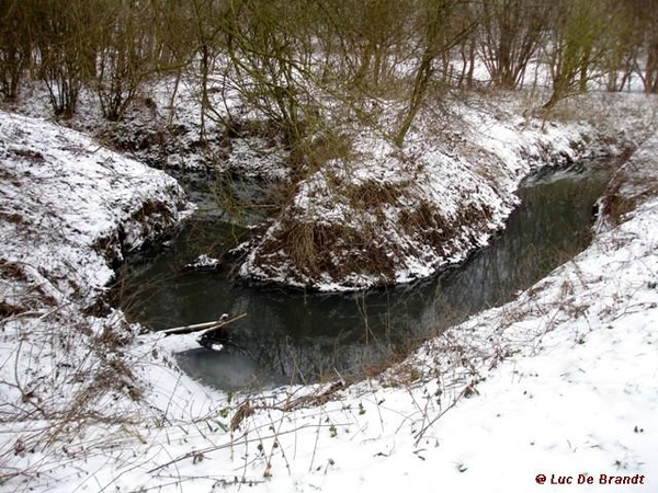 wandeling Denderleeuw