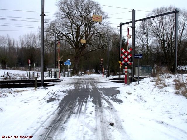 wandeling Denderleeuw