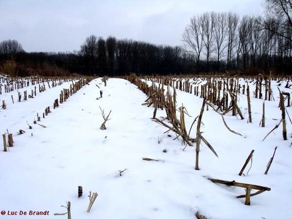 wandeling Denderleeuw