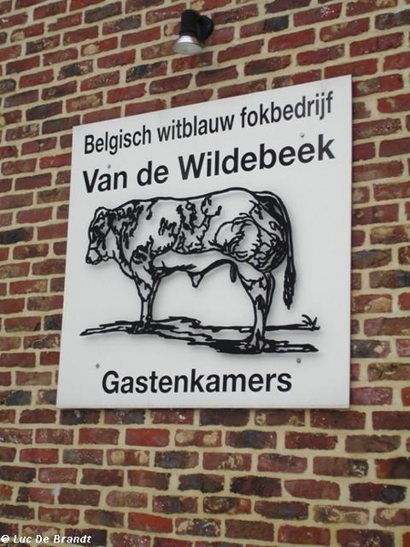 wandeling Denderleeuw