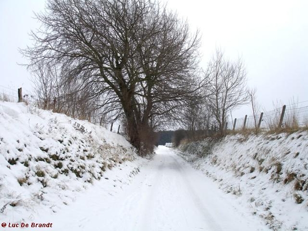 wandeling Denderleeuw