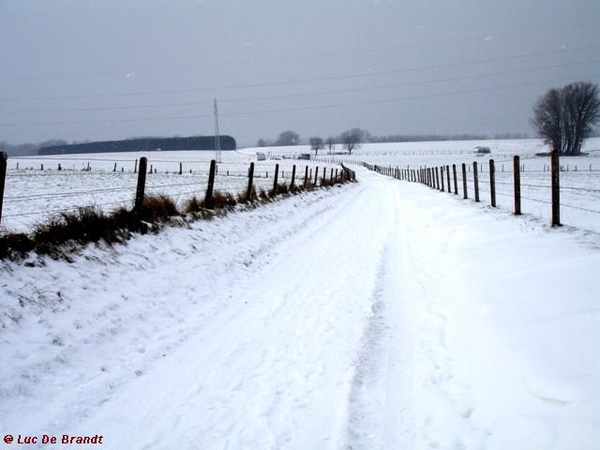 wandeling Denderleeuw