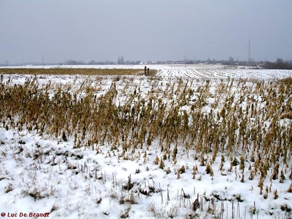 wandeling Denderleeuw