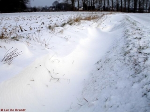 2010_01_10 Denderleeuw 78 Kouter