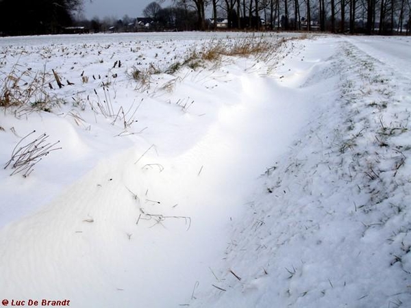 wandeling Denderleeuw