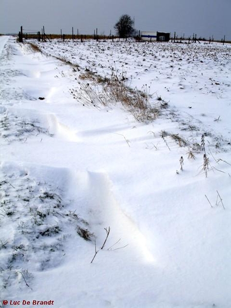 wandeling Denderleeuw