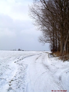 2010_01_10 Denderleeuw 82 Kouter