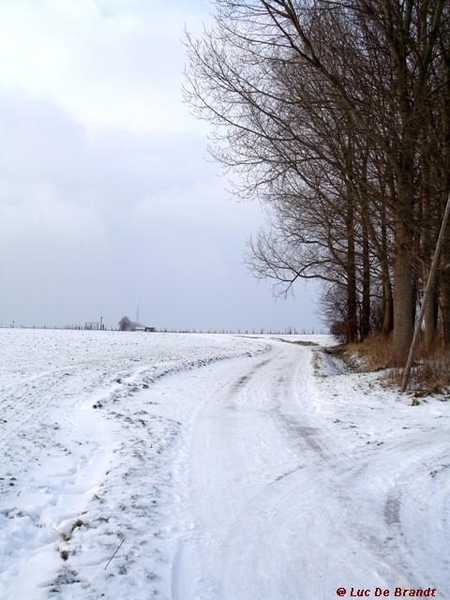 wandeling Denderleeuw