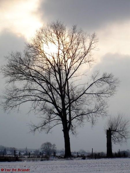 wandeling Denderleeuw