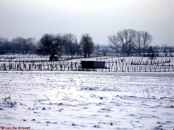 wandeling Denderleeuw