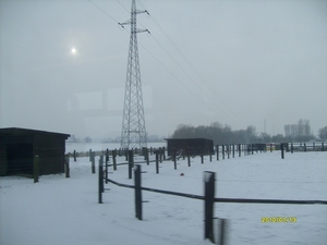 besneeuwde velden vanop de trein