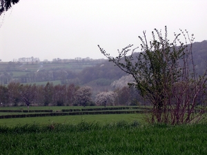 DSCN1523
