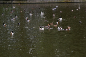 IMGP5280