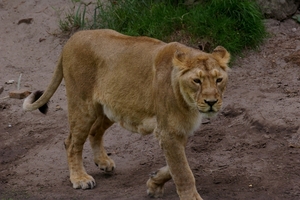 IMGP5382