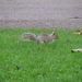 091211-14 Londen 041