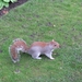 091211-14 Londen 044