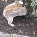 091211-14 Londen 046