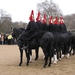 091211-14 Londen 159A Horse Guards