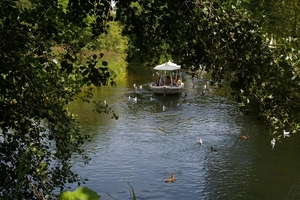 IMGP5767
