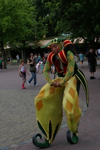 IMGP5790