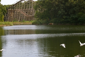 IMGP5826