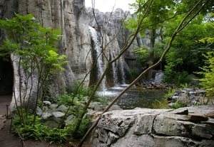 IMGP5865
